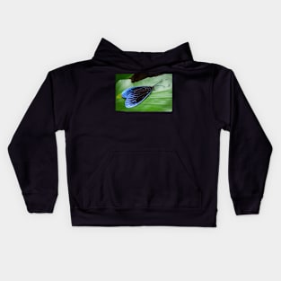 A gorgeous Pompelon marginata with shiny blue wing tips! Kids Hoodie